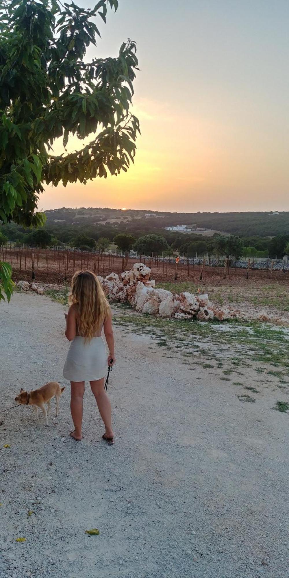 Trulli Il Castagno Pensionat Martina Franca Exteriör bild