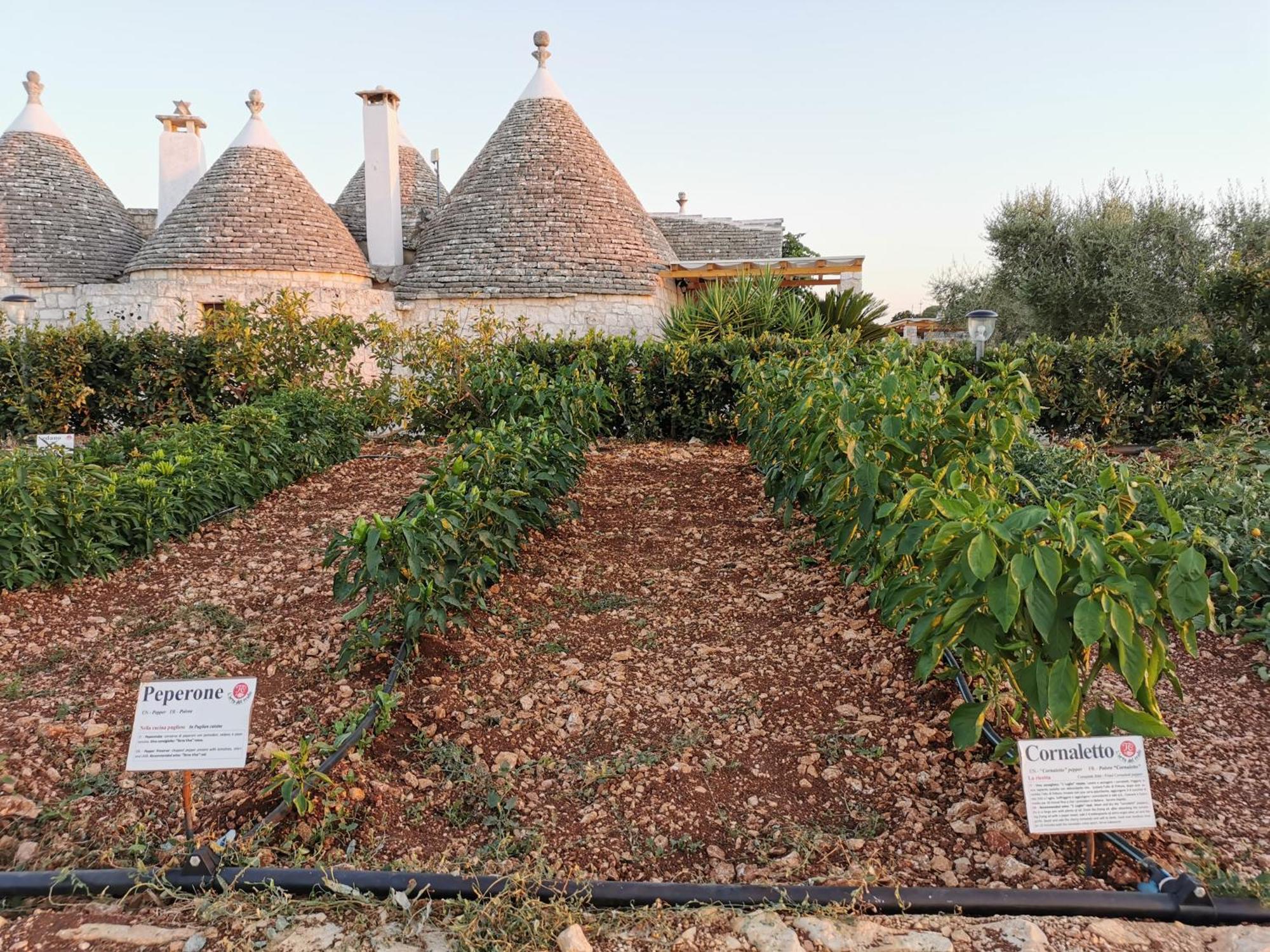 Trulli Il Castagno Pensionat Martina Franca Exteriör bild
