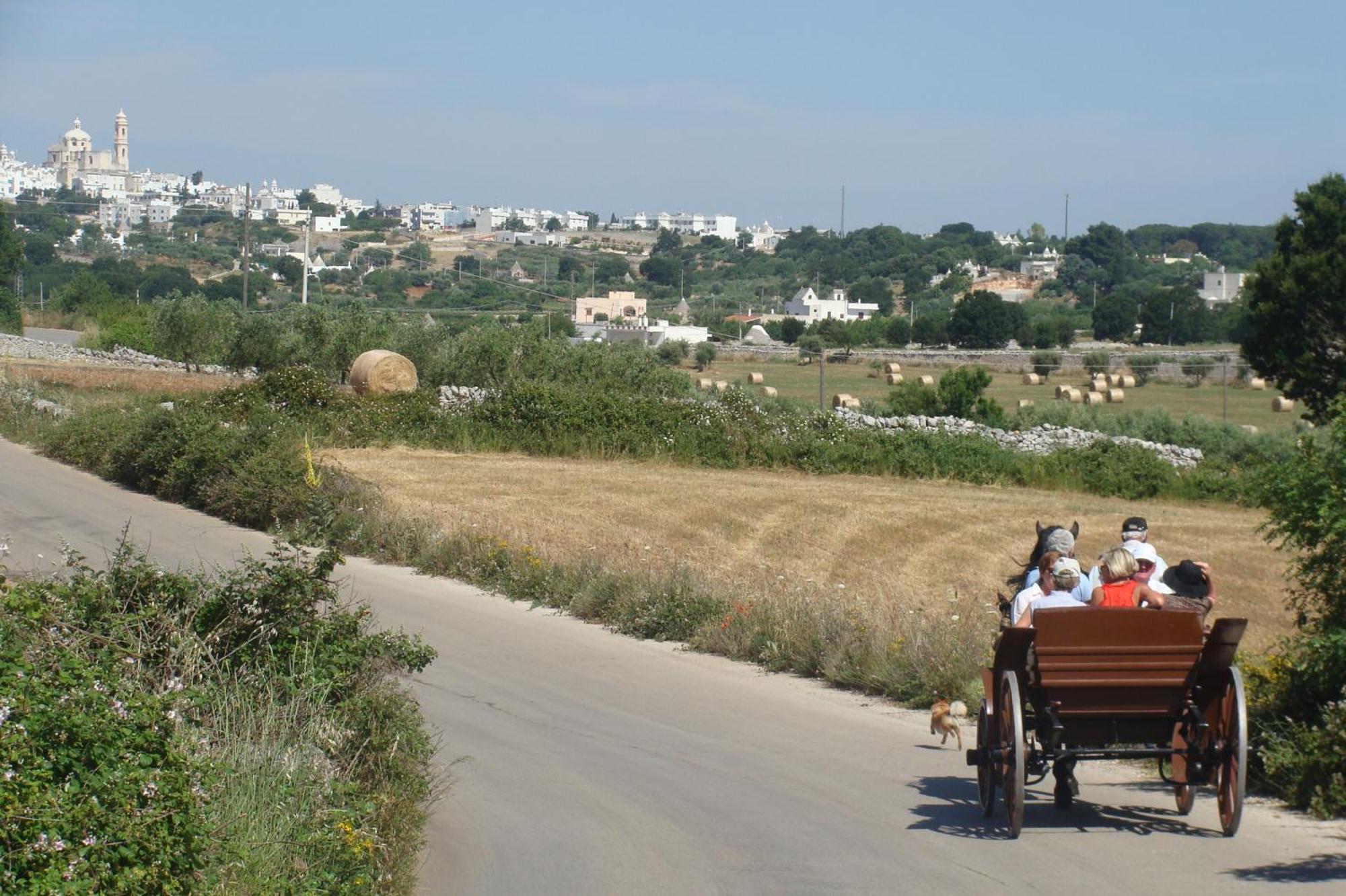 Trulli Il Castagno Pensionat Martina Franca Exteriör bild
